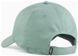 Кепка Puma ESS NO. 1 LOGO PATCH BB Cap зеленый Уни S 025997-04 фото 4