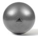 Фітбол Adidas Gymball сірий Уні 55 см 00000026135 фото 2