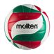 М'яч волейбольний Molten V5M2000 Light V5M2000L фото 1