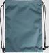 Сумка Arena ONE GO SWIMBAG 10L зелений 46 x 34 x 1 см 010239-300 фото 3