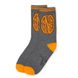 Шкарпетки Fantastic Beasts Newt Scamander Socks Set of 3 Мультиколор Уні 36-40 00000009429 фото 4