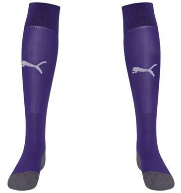 Гетри Puma Team LIGA Socks CORE бузковий Уні  703441-10