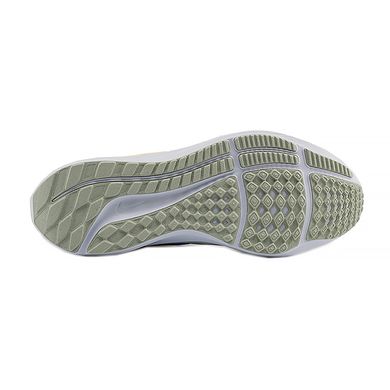 Кросівки Nike WMNS NIKE AIR ZOOM PEGASUS 39 FD0796-100