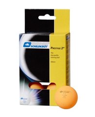 Мячи для настольного тенниса 6шт Donic-Schildkrot 2-Star Prestige 658028