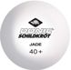 Мячі для настільного тенісу Donic Jade 40+ 608501 фото 2