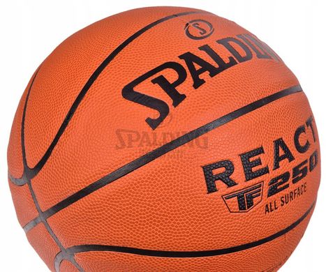 Мяч баскетбольный Spalding TF-250 React In/Out Ball 76801Z №7 76801Z