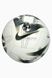 Футбольный мяч Nike Premier League Pitch FB2987-106 FB2987-106 фото 1