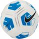 М'яч для футболу Nike Academy Team Junior 350g CU8064-100 CU8064-100 фото 2