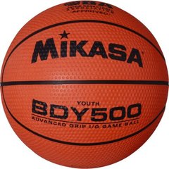 Мяч баскетбольный MIKASA BDY500 №5 BDY500