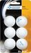 М'ячі для настільного тенісу Donic-Schildkrot Jade ball (blister card) (6) 618371 фото 2