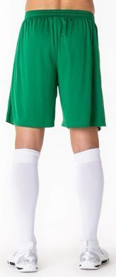 Шорты Joma NOBEL зеленый Муж 2XL-3XL 100053.450