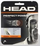 Струна для сквоша Head Perfect power wh 1.25 10 m 281085 wh