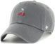 Кепка 47 Brand FRUIT BASE RUNNER ICON серый Уни One Size BSRIC1411GWS-CCH фото 1