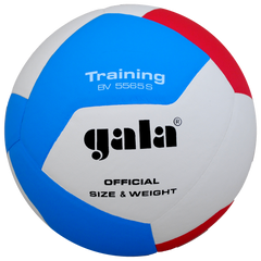 Мяч волейбольный Gala Training BV5565S BV5565S