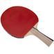 Ракетка для настольного тенниса Butterfly Timo Boll BRONZE 85011 фото 3